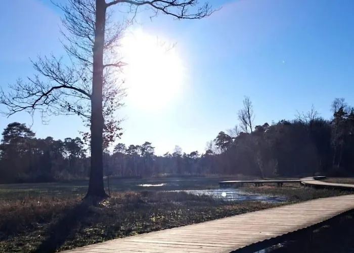 Modern Gezinsvriendelijke Op De Veluwe بيت للعطل *