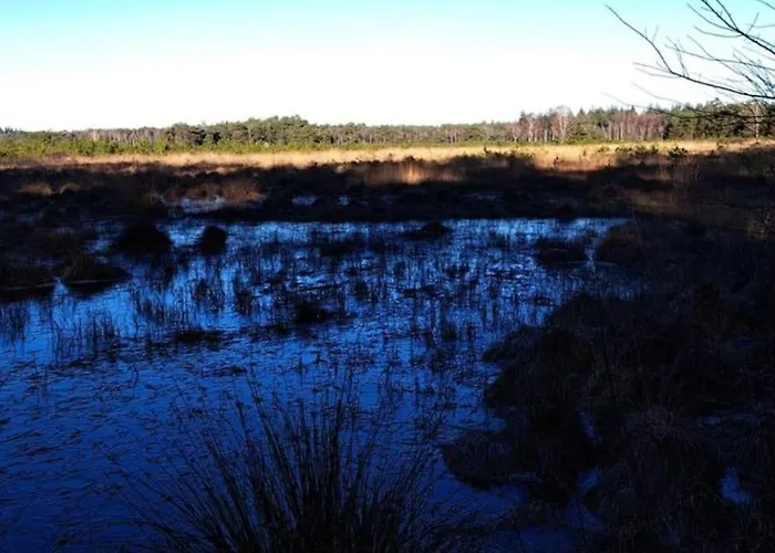 Modern Gezinsvriendelijke Op De Veluwe بيت للعطل *